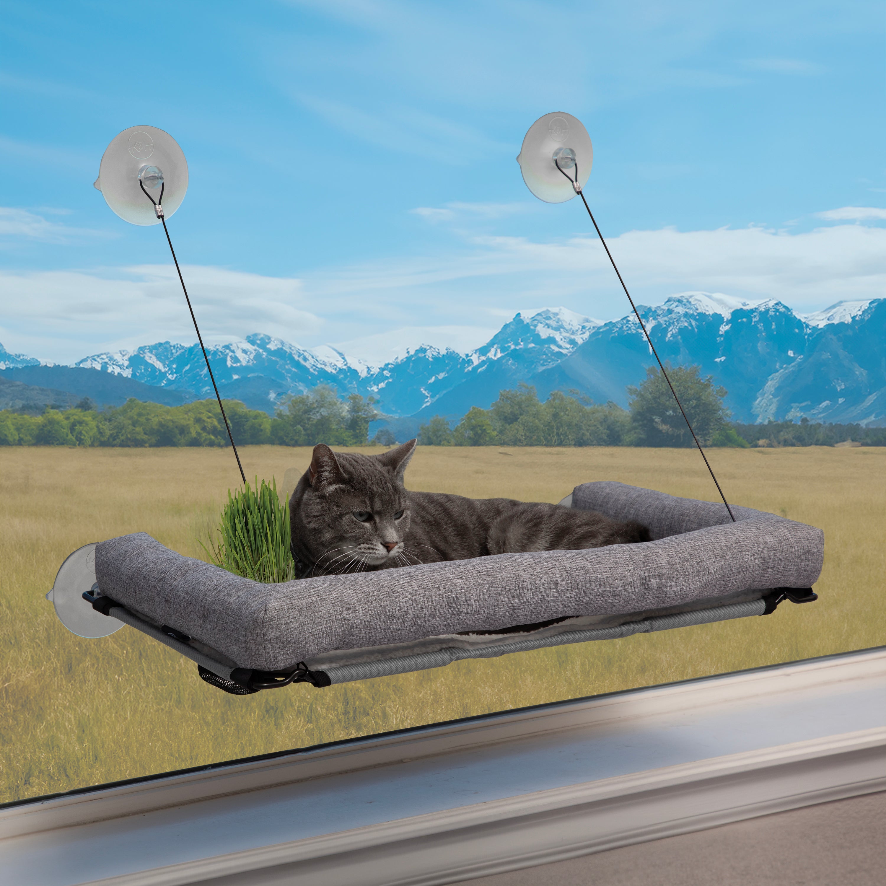 Kh Deluxe Kitty Sill 14x24