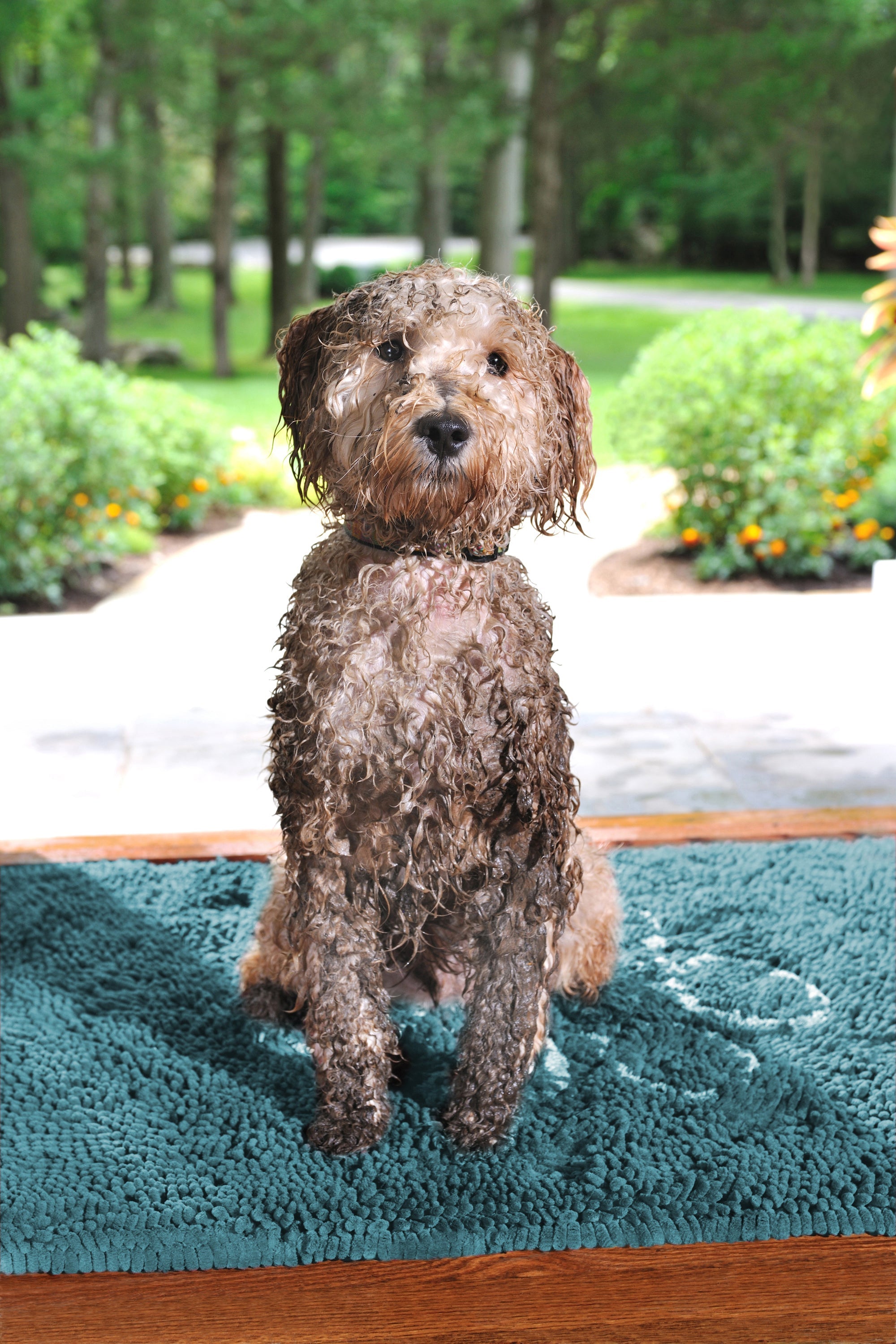 Dgs Dirty Dog Mat Bermuda Lrg